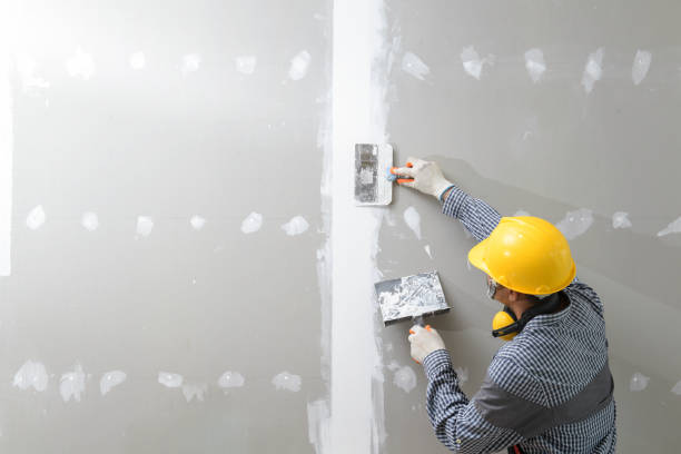 Mold Documentation for Insurance Claims in Herald Harbor, MD
