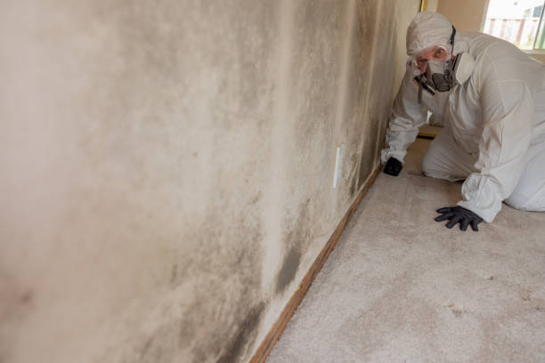 Best Forensic Mold Investigation  in Herald Harbor, MD